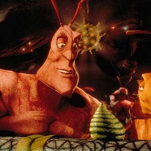 Fotoğraf Karınca Z