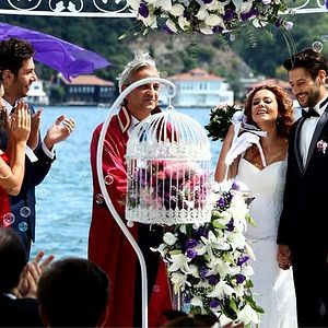 Fotoğraf Acil Aşk Aranıyor