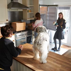 Fotoğraf Pudsey the Dog: The Movie