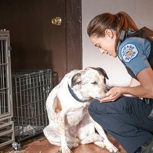 Fotoğraf Marina Squerciati