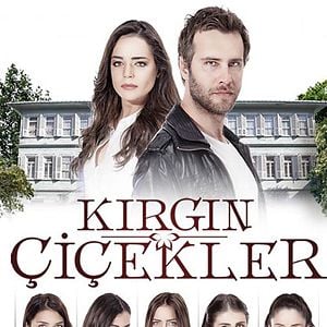 Fotoğraf Kırgın Çiçekler