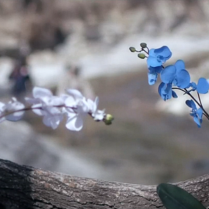 Fotoğraf Gizli Kimya