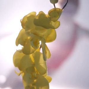 Fotoğraf Gizli Kimya