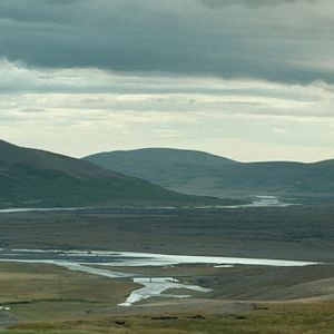 Fotoğraf İnatçılar