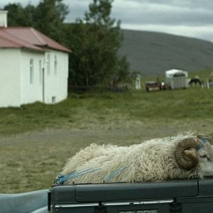 Fotoğraf Sigurður Sigurjónsson