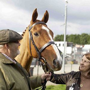 Fotoğraf Dark Horse: The Incredible True Story Of Dream Alliance