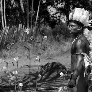 Fotoğraf El abrazo de la serpiente