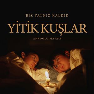 Fotoğraf Yitik Kuşlar