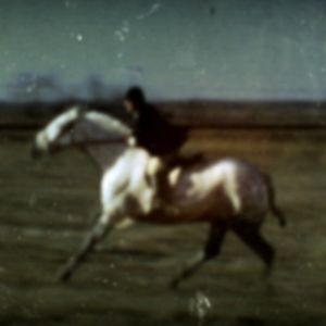 Fotoğraf Köpeğin Kalbi