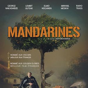 Fotoğraf Mandalinalar