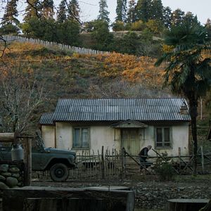 Fotoğraf Mandalinalar