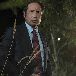 Fotoğraf David Duchovny