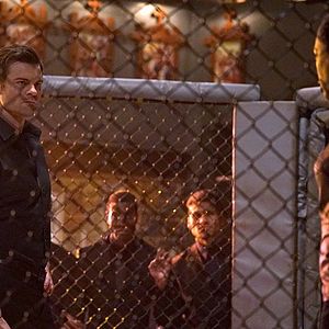 Fotoğraf Daniel Gillies