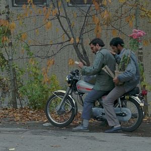 Fotoğraf Yakın Plan