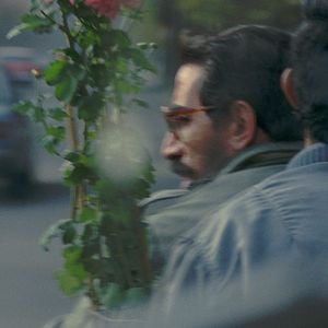 Fotoğraf Yakın Plan