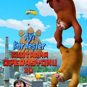 Fotoğraf Ayı Kardeşler: Kurtarma Operasyonu