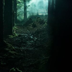 Fotoğraf The Hallow