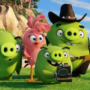 Fotoğraf The Angry Birds Movie