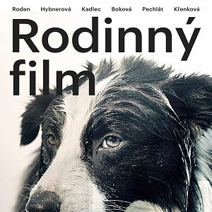 Fotoğraf Bir Aile Filmi