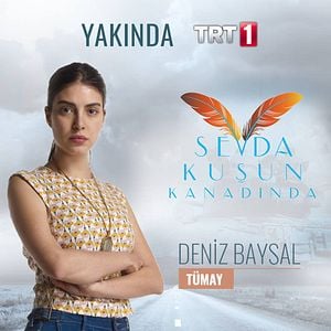 Fotoğraf Sevda Kuşun Kanadında