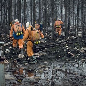 Fotoğraf Jordskött