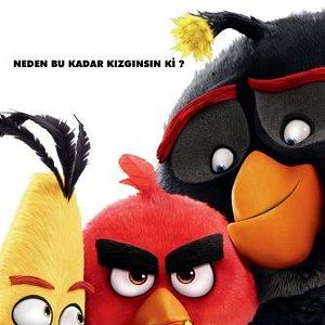 Fotoğraf The Angry Birds Movie