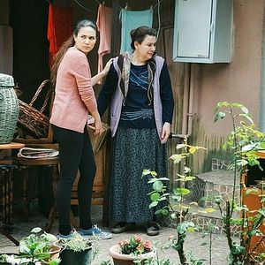 Fotoğraf Kış Güneşi