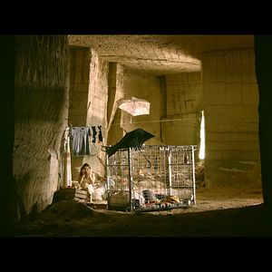 Fotoğraf Yilin Yang