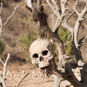 Fotoğraf Bone Tomahawk