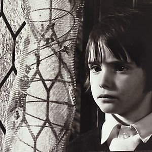 Fotoğraf El espíritu de la colmena