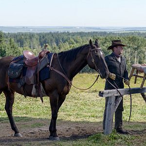 Fotoğraf Donald Sutherland