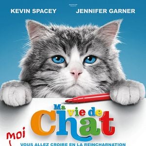 Fotoğraf Dokuz Canlı Bay Tüylü