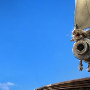 Fotoğraf Robinson Crusoe