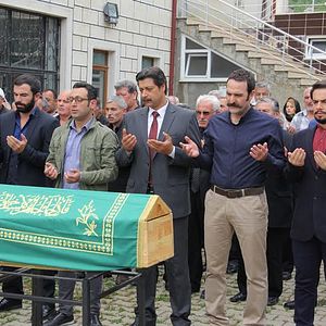 Fotoğraf Kertenkele