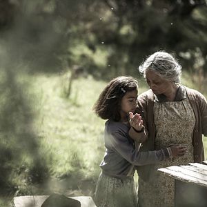 Fotoğraf Aile Reisi