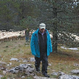 Fotoğraf Rester Vertical