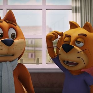 Fotoğraf Sevimli Kedi İş Başında 2