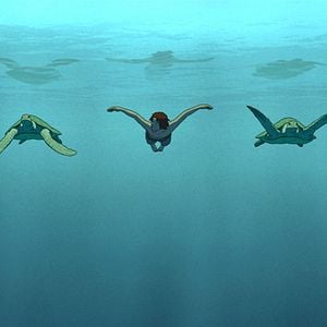 Fotoğraf Kırmızı Kaplumbağa