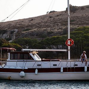 Fotoğraf Rüzgarın Kalbi