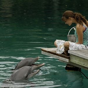Fotoğraf Phoebe Tonkin