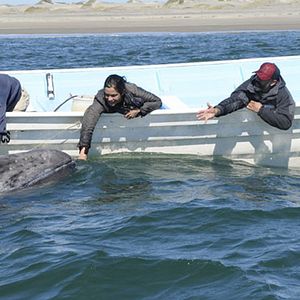 Fotoğraf Úrsula Pruneda