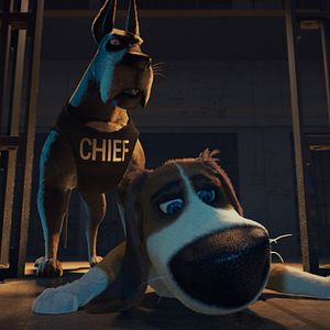 Fotoğraf Tüylü Kaçak