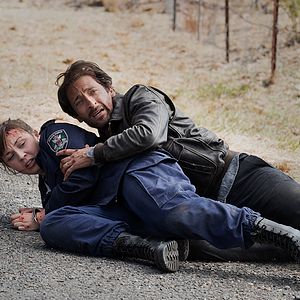 Fotoğraf Robin McLeavy