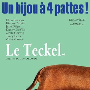 Fotoğraf Wiener-Dog