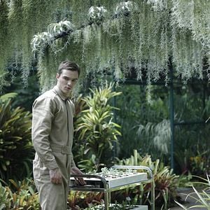 Fotoğraf Aşk Uğruna