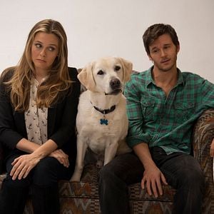 Fotoğraf Ryan Kwanten