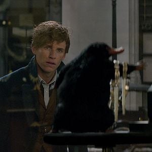 Fotoğraf Eddie Redmayne