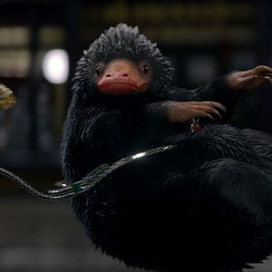 Fotoğraf Fantastik Canavarlar Nelerdir, Nerede Bulunurlar?