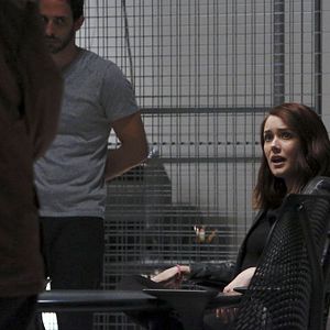 Fotoğraf Amir Arison