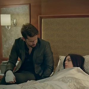 Fotoğraf Kertenkele